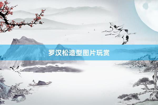 罗汉松造型图片玩赏
