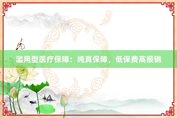 滥用型医疗保障：纯真保障，低保费高报销